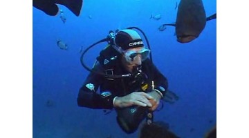 Underwater & Company Videos