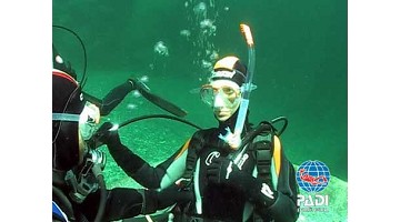 Underwater & Company Videos