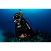 83 womanmanscubadiving lm img 9733